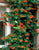 Lonicera - Dropmore Scarlet - Honeysuckle vine - NEW